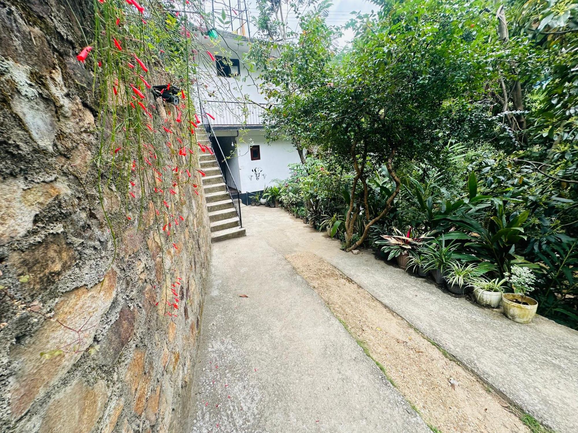 אלה River Splendour Home Stay מראה חיצוני תמונה