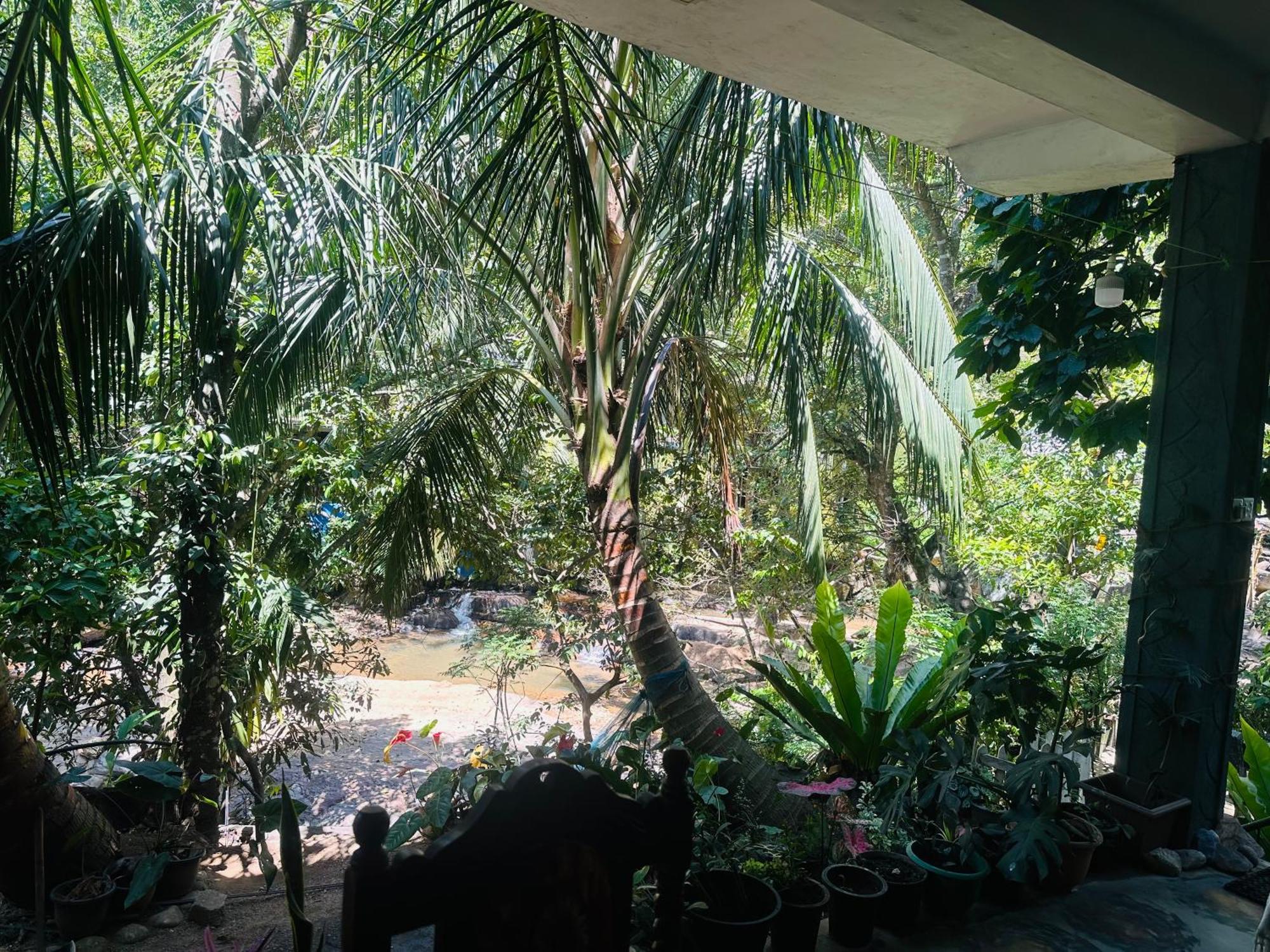 אלה River Splendour Home Stay מראה חיצוני תמונה